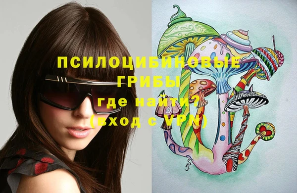 мдпв Зеленодольск