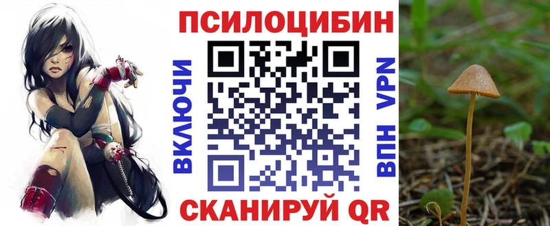 Галлюциногенные грибы Psilocybine cubensis  Купить закладки  Янаул 