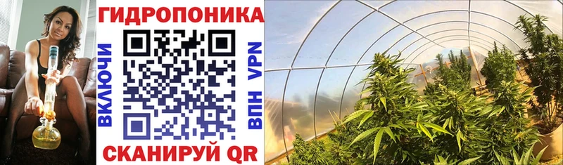 Купить закладки  Янаул  Бошки Шишки сатива 